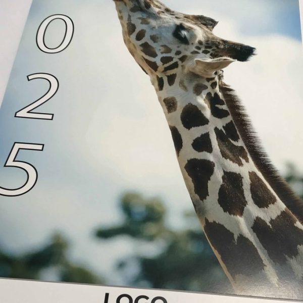 Stenski koledar - spirala