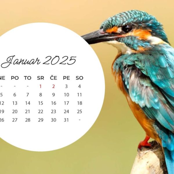 Predloga 1 - stenski koledar - A4 ležeče