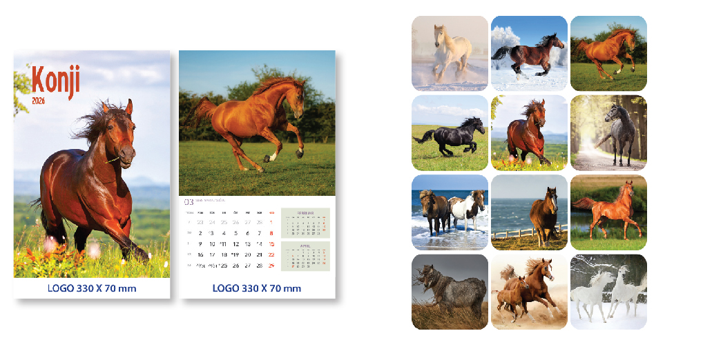 konji_web