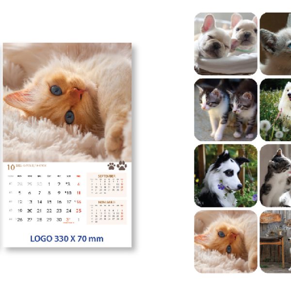 Koledar KUŽKI in MUCKI